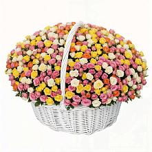 Премиум букет из: Розы #REPLACE_PRED# Северское