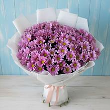 Букет цветов из:  Хризантемы #REPLACE_PRED# Северское