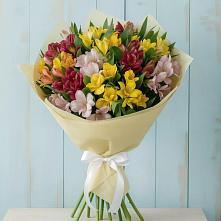 Букет цветов из:  Альстромерии в Северское