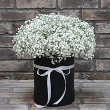 Цветочная композиция из Гипсофила в шляпной коробке в Северское